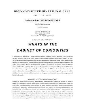 Whats in the Cabinet of Curiosities
