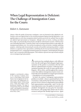 The Challenge of Immigration Cases for the Courts