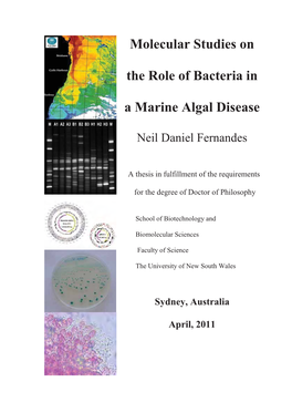Molecular Studies on the Role of Bacteria in a Marine Algal Disease