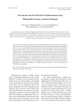 New Species and New Records of Podostemaceae from Phitsanulok Province, Northern Thailand