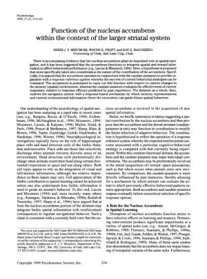 Function of the Nucleus Accumbens Within the Context of the Larger Striatal System