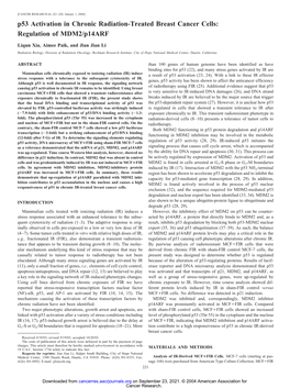 P53 Activation in Chronic Radiation-Treated Breast Cancer Cells: Regulation of MDM2/P14arf