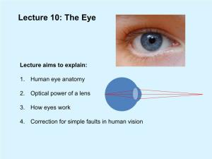 Lecture Aims to Explain: 1. Human Eye Anatomy 2. Optical Power of a Lens