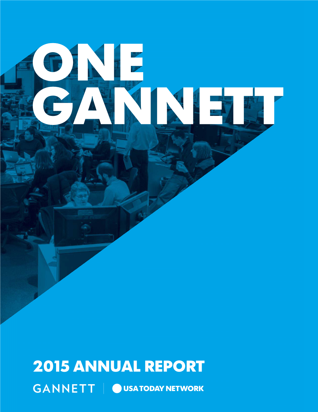 2015 Annual Report Company Profile