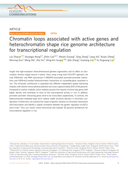 Chromatin Loops Associated with Active Genes and Heterochromatin Shape Rice Genome Architecture for Transcriptional Regulation
