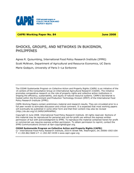 Shocks, Groups, and Networks in Bukidnon, Philippines