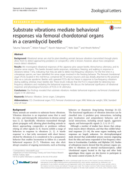 Substrate Vibrations Mediate Behavioral Responses Via Femoral Chordotonal Organs in a Cerambycid Beetle