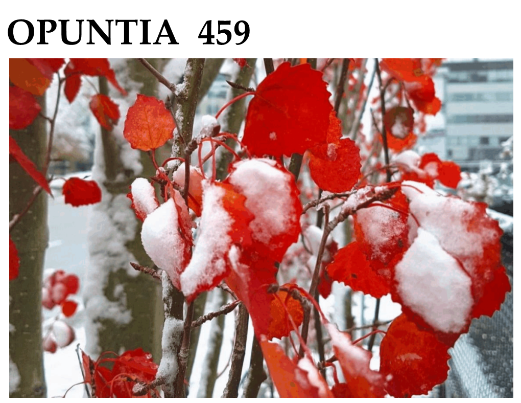 OPUNTIA 459 Early November 2019