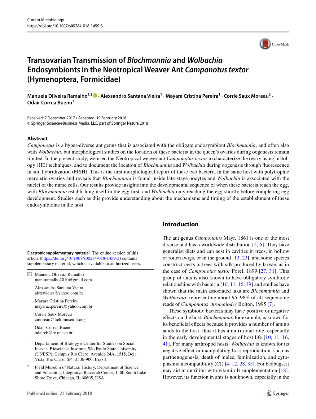 Transovarian Transmission of Blochmannia and Wolbachia Endosymbionts in the Neotropical Weaver Ant Camponotus Textor (Hymenoptera, Formicidae)