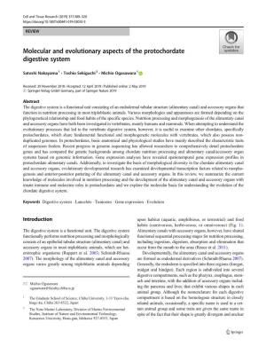 Molecular and Evolutionary Aspects of the Protochordate Digestive System