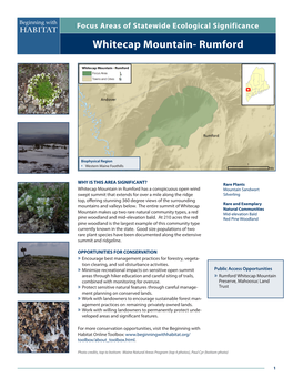Whitecap Mountain- Rumford Beginning with Focus Areas of Statewide Ecological Significance Habitat Whitecap Mountain- Rumford