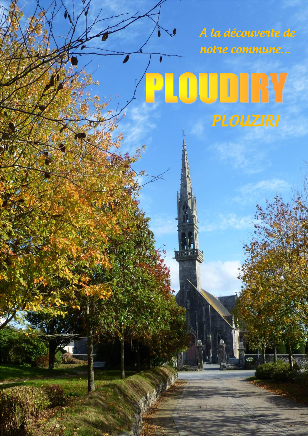 Brochure Ploudiry 2016