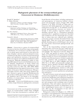 Phylogenetic Placement of the Ectomycorrhizal Genus Cenococcum in Gloniaceae (Dothideomycetes)