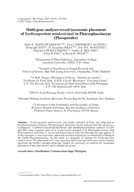 Multi-Gene Analyses Reveal Taxonomic Placement of Scolicosporium Minkeviciusii in Phaeosphaeriaceae (Pleosporales)