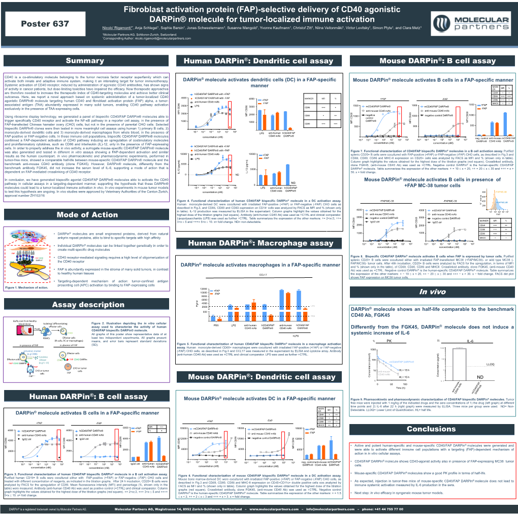 Fibroblast Activation Protein (FAP)-Selective Delivery of CD40