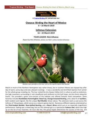 Oaxaca: Birding the Heart of Mexico, March 2019