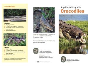 Guide to Living with Crocodiles