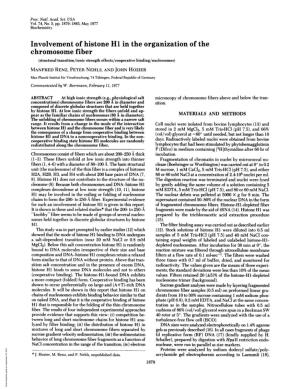 Involvement of Histone H1 in the Organization Of