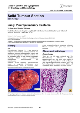 Solid Tumour Section Mini Review