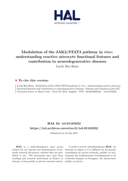 Modulation of the JAK2/STAT3 Pathway in Vivo: Understanding Reactive Astrocyte Functional Features and Contribution to Neurodegenerative Diseases