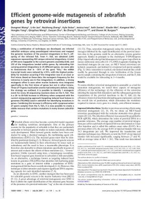 Efficient Genome-Wide Mutagenesis of Zebrafish Genes by Retroviral Insertions