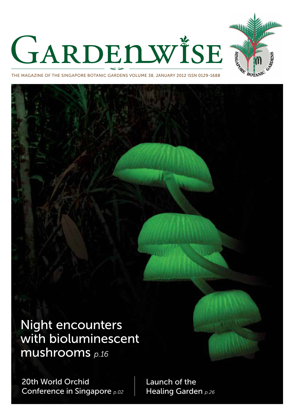 Night Encounters with Bioluminescent Mushrooms P.16