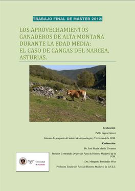 Los Aprovechamientos Ganaderos De Alta Montaña Durante La Edad Media: El Caso De Cangas Del Narcea, Asturias