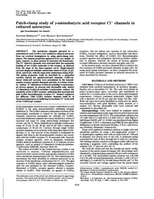 Patch-Clamp Study of Y-Aminobutyric Acid Receptor C1