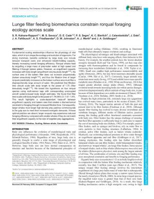 Lunge Filter Feeding Biomechanics Constrain Rorqual Foraging Ecology Across Scale S