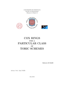 Cox Rings Particular Class Toric Schemes