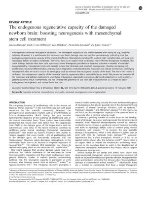 Boosting Neurogenesis with Mesenchymal Stem Cell Treatment