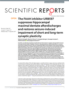 The FAAH Inhibitor URB597 Suppresses Hippocampal Maximal