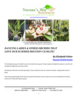 Dancing Ladies & Other Orchids That Love Our