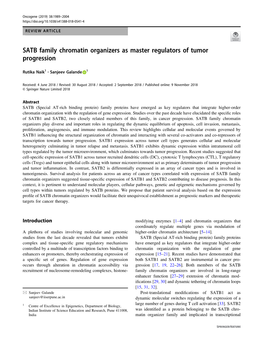 SATB Family Chromatin Organizers As Master Regulators of Tumor Progression