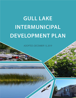 Gull Lake Intermunicipal Development Plan