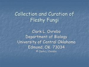 Collection and Curation of Fleshy Fungi