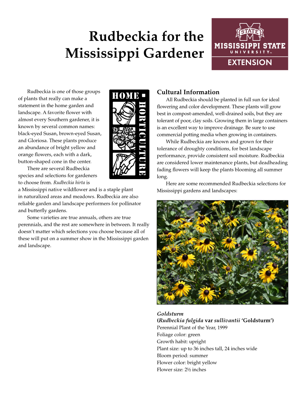 Rudbeckia for the Mississippi Gardener