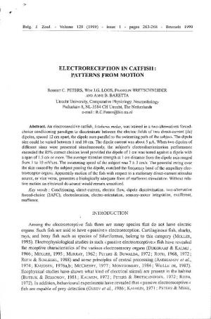 Electroreception in Catfish: Patterns from Motion