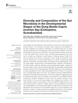 Diversity and Composition of the Gut Microbiota in the Developmental Stages of the Dung Beetle Copris Incertus Say (Coleoptera, Scarabaeidae)