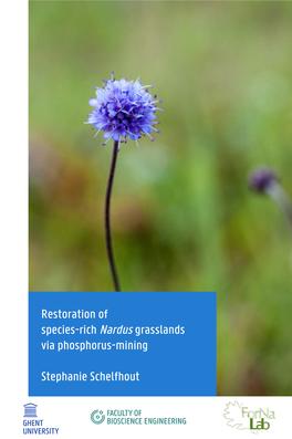 Restoration of Species-Rich Nardus Grasslands Via Phosphorus-Mining