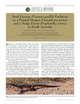 Varanus Gouldii (Gray 1838) (Fig