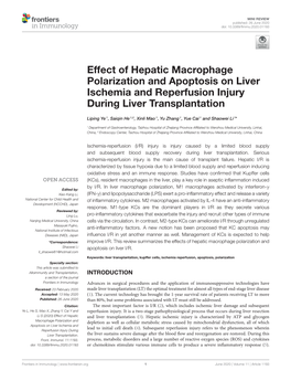 Effect of Hepatic Macrophage Polarization and Apoptosis on Liver Ischemia and Reperfusion Injury During Liver Transplantation