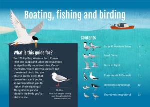 Tern Flip Guide