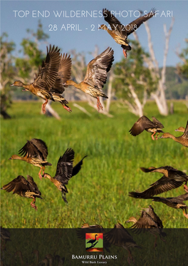 Top End Wilderness Photo Safari 28 April - 2 May 2018 Join a Photographic Exploration of the Wilderness, Wildlife and Ancient Landscape of Australia’S Top End