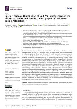 Spatio-Temporal Distribution of Cell Wall Components in the Placentas, Ovules and Female Gametophytes of Utricularia During Pollination