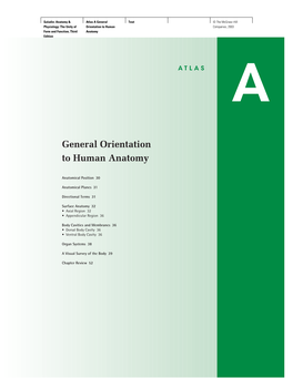 General Orientation to Human Anatomy