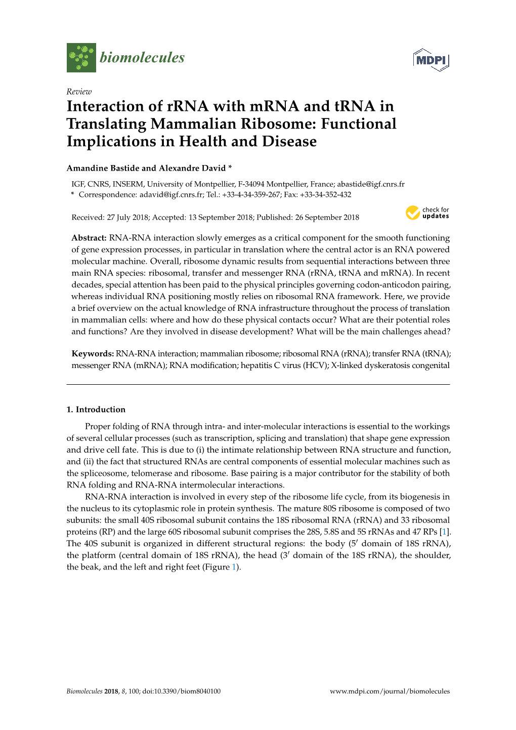 Interaction of Rrna with Mrna and Trna in Translating Mammalian Ribosome: Functional Implications in Health and Disease