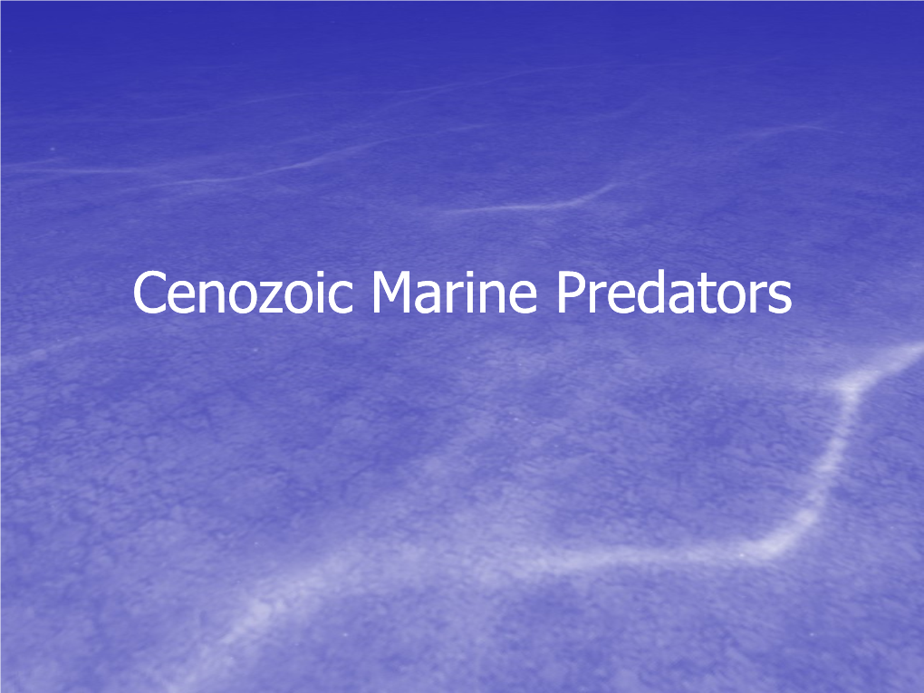 Cenozoic Marine Predators