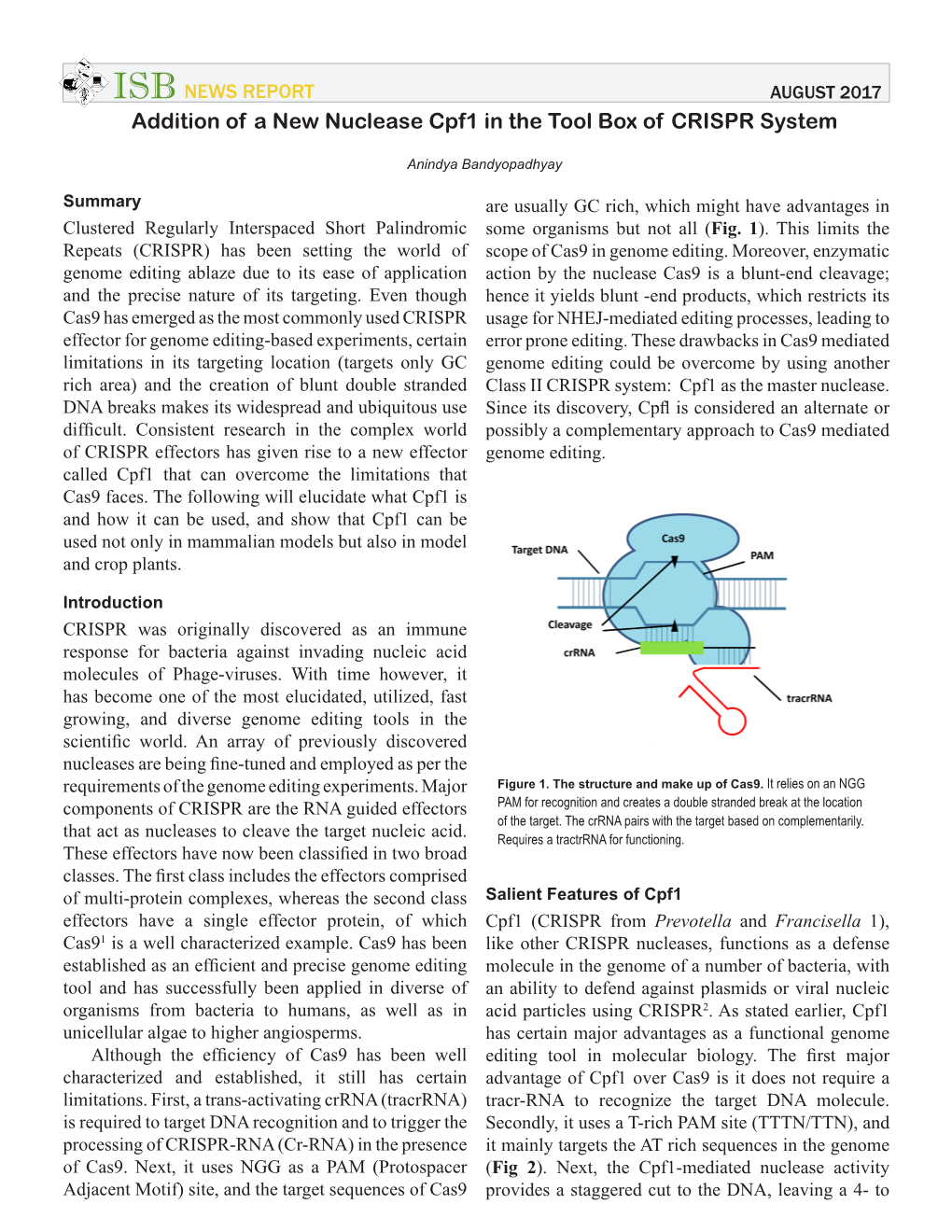 Addition of a New Nuclease Cpf1 in the Tool Box of CRISPR System