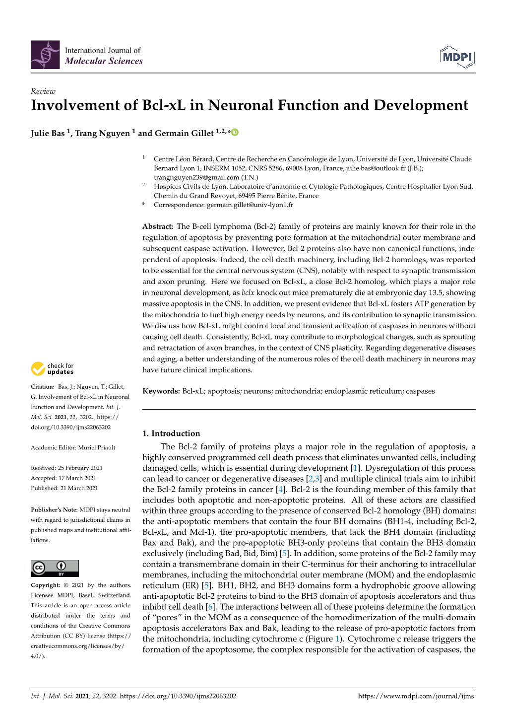 Involvement of Bcl-Xl in Neuronal Function and Development